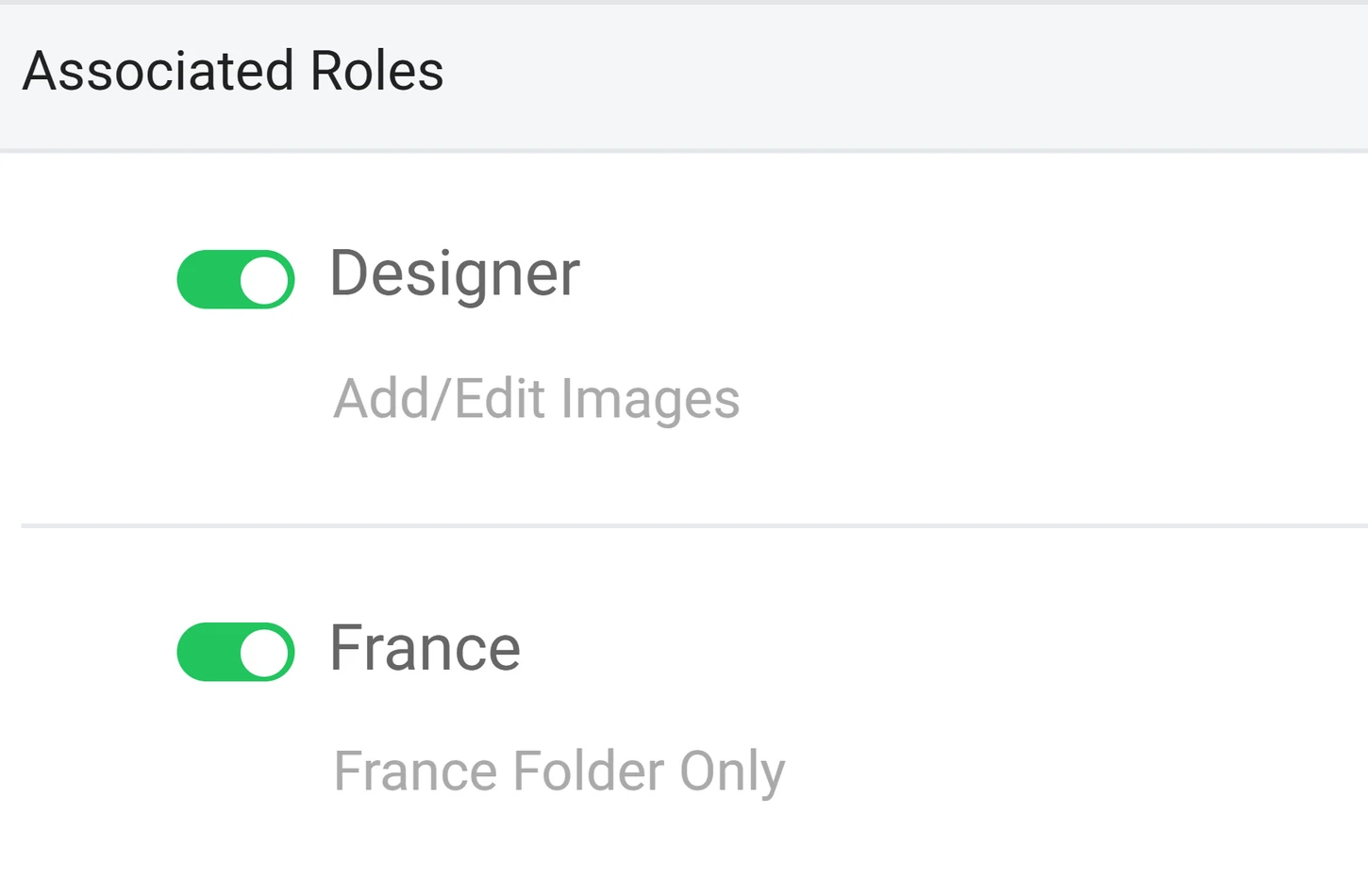 Product example showing a team member assigned the Designer and France roles