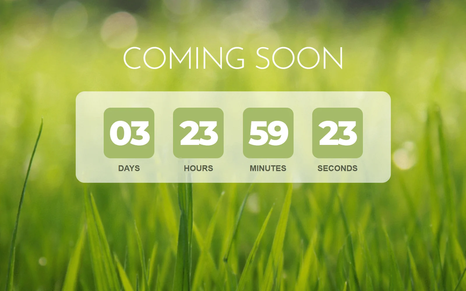 Coming Soon countdown over a sunlit grass photograph