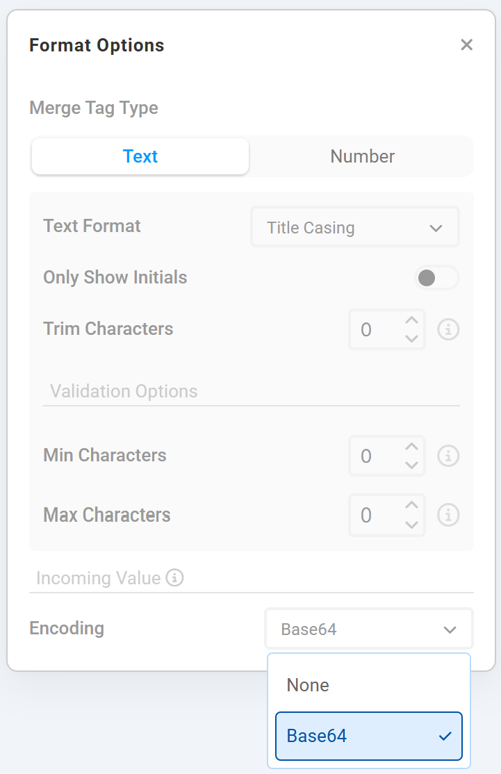 Format Options window showing the new Encoding option set to Base64